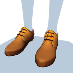 Brown Oxford Shoes.png