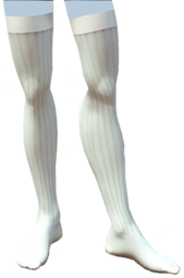White Thigh-High Socks m.png