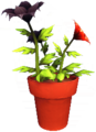 Red and Black Passion Lily Pot.png