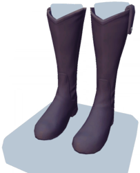 Black Knee-High Boots - Dreamlight Valley Wiki