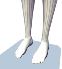 Green Knee-High Socks - Dreamlight Valley Wiki